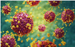 Evita el contagio del Virus Zika