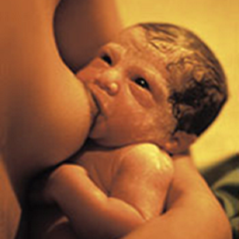 La lactancia materna es fundamental en los primeros meses de vida del recién nacido, ésta favorece su crecimiento y su sano desarrollo, aportándole los nutrientes necesarios. 