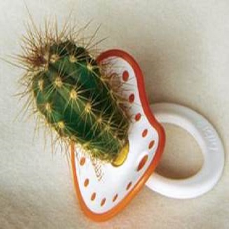 Es importante que la leche materna sea el alimento exclusivo de los recién nacidos durante los primeros meses de vida. 